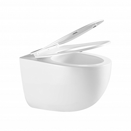 Подвесной унитаз безободковый Terminus Енисей Monolit 560х390 белый Владимир - фото 7 Подвесной унитаз безободковый Terminus Енисей Monolit 560х390 белый Владимир - фото 7