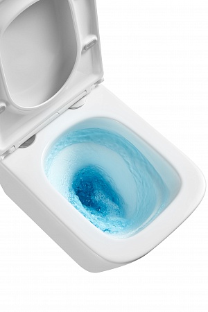 Подвесной унитаз безободковый Terminus Ватикан Monolit 490х340 белый Владимир - фото 8 Подвесной унитаз безободковый Terminus Ватикан Monolit 490х340 белый Владимир - фото 8