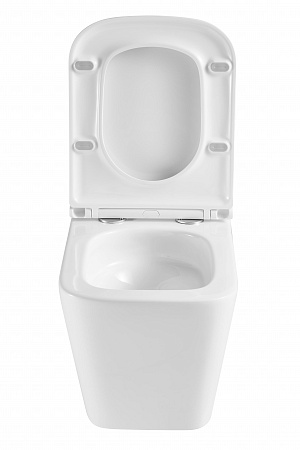 Подвесной унитаз безободковый Terminus Ватикан Monolit 490х340 белый Владимир - фото 7 Подвесной унитаз безободковый Terminus Ватикан Monolit 490х340 белый Владимир - фото 7