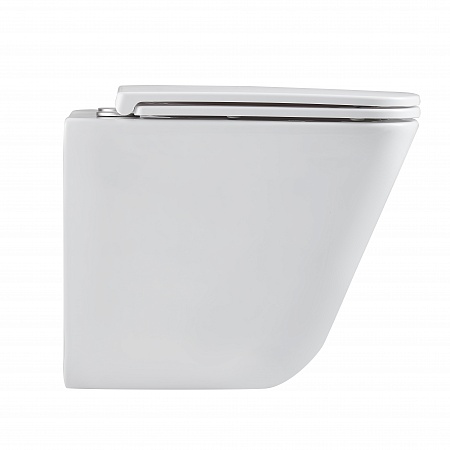 Подвесной унитаз безободковый Terminus Ватикан Monolit 490х340 белый Владимир - фото 4 Подвесной унитаз безободковый Terminus Ватикан Monolit 490х340 белый Владимир - фото 4