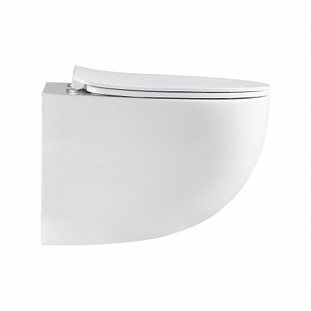 Подвесной унитаз безободковый Terminus Енисей Monolit 560х390 белый Владимир - фото 4 Подвесной унитаз безободковый Terminus Енисей Monolit 560х390 белый Владимир - фото 4