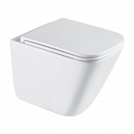 Подвесной унитаз безободковый Terminus Ватикан Monolit 490х340 белый Владимир - фото 2 Подвесной унитаз безободковый Terminus Ватикан Monolit 490х340 белый Владимир - фото 2