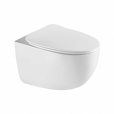 Подвесной унитаз безободковый Terminus Енисей Monolit 560х390 белый Владимир - фото 2 Подвесной унитаз безободковый Terminus Енисей Monolit 560х390 белый Владимир - фото 2