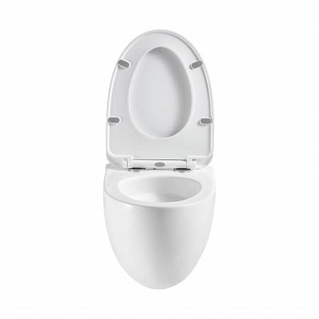 Подвесной унитаз безободковый Terminus Енисей Monolit 560х390 белый Владимир - фото 5 Подвесной унитаз безободковый Terminus Енисей Monolit 560х390 белый Владимир - фото 5