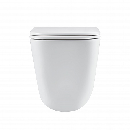 Подвесной унитаз безободковый Terminus Ватикан Monolit 490х340 белый Владимир - фото 6 Подвесной унитаз безободковый Terminus Ватикан Monolit 490х340 белый Владимир - фото 6