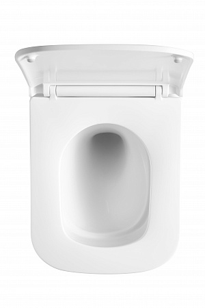 Подвесной унитаз безободковый Terminus Ватикан Monolit 490х340 белый Владимир - фото 3 Подвесной унитаз безободковый Terminus Ватикан Monolit 490х340 белый Владимир - фото 3